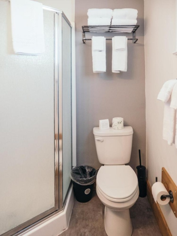 LOGE Mt. Shasta image 16